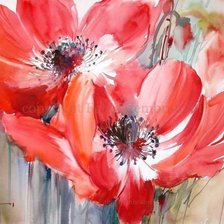 Схема вышивки «Маки ФАБИО СЕМБРАНЕЛЛИ»