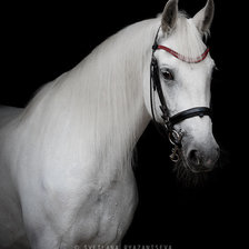 Схема вышивки «№1494168»