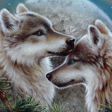 Пара волков