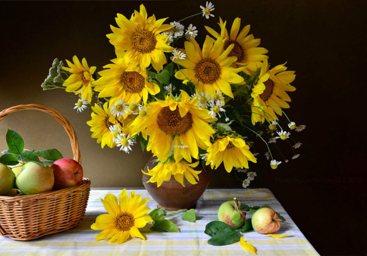 подсолнухи - кухня - оригинал