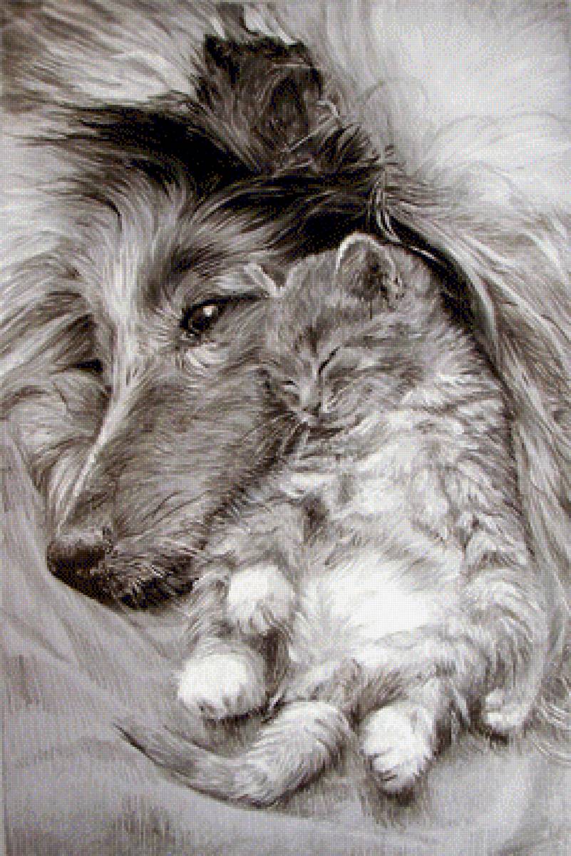 кот и пес - кот и пес - предпросмотр