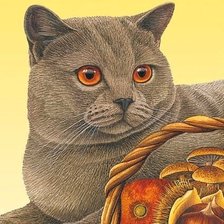 Схема вышивки «британский Лорд»