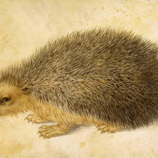 Схема вышивки «ежик 13»