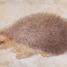 Схема вышивки «ежик 13 - 2»