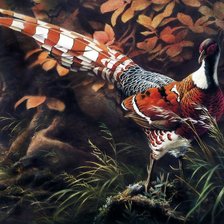 Схема вышивки «6»