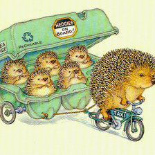 Схема вышивки «ежик 21»