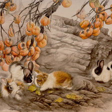 Схема вышивки «8»