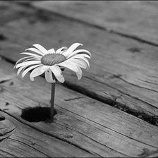 Схема вышивки «1»