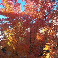 Схема вышивки «вид из окна»