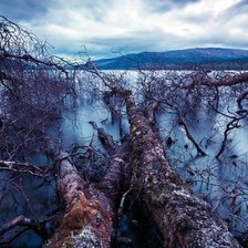 Схема вышивки «№1496986»