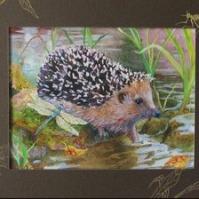 Схема вышивки «ежик 24»