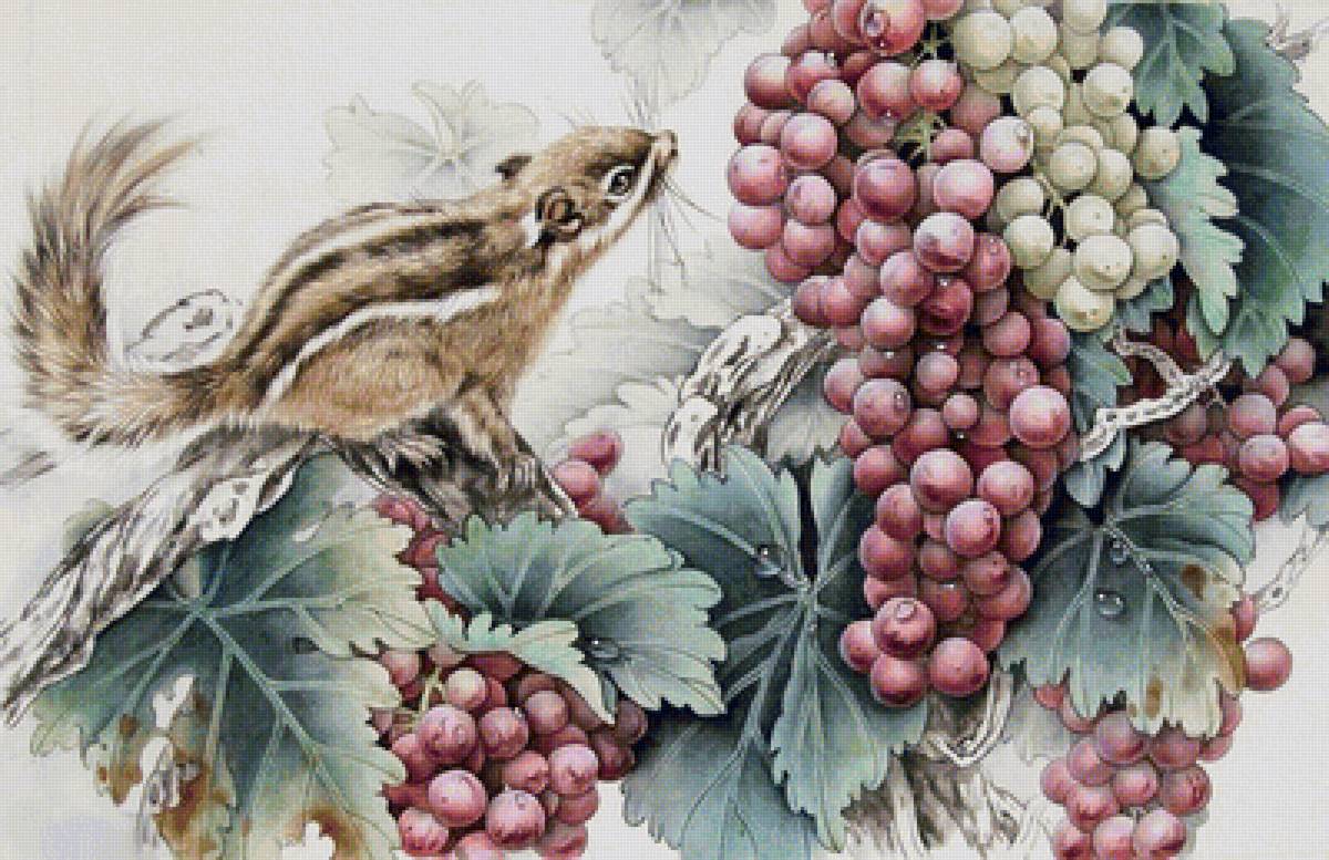 12 - предпросмотр