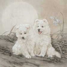 Схема вышивки «20»