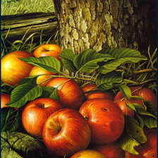 Схема вышивки «32»