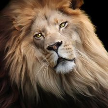 Схема вышивки «Lev»