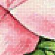 Предпросмотр схемы вышивки «роза нежная» (№1497679)