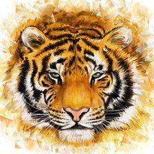 Схема вышивки «37»