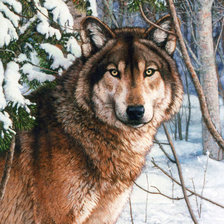 Схема вышивки «одинокий волк»