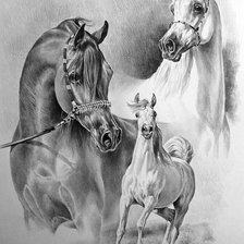 Схема вышивки «№1498061»