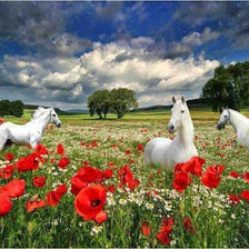 Схема вышивки «кони и маки»