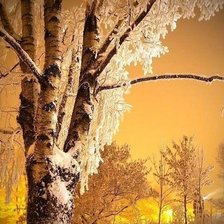 Схема вышивки «зима»