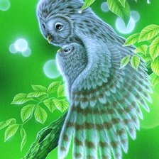 Схема вышивки «39»