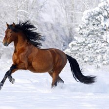 Схема вышивки «конь»