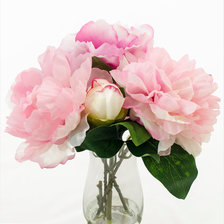 Букет пионов