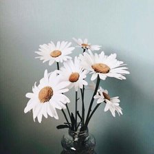 Схема вышивки «№1499079»