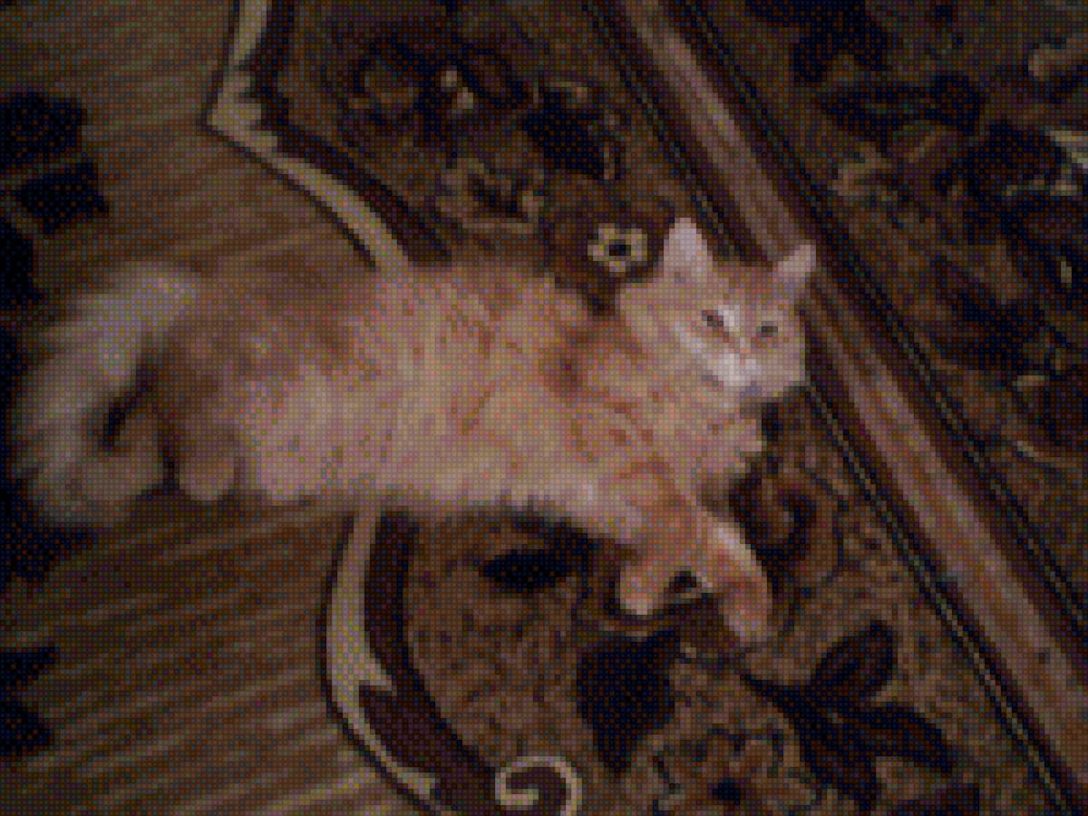 kot - kot - предпросмотр