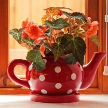 Схема вышивки «Бегония в чайнике»