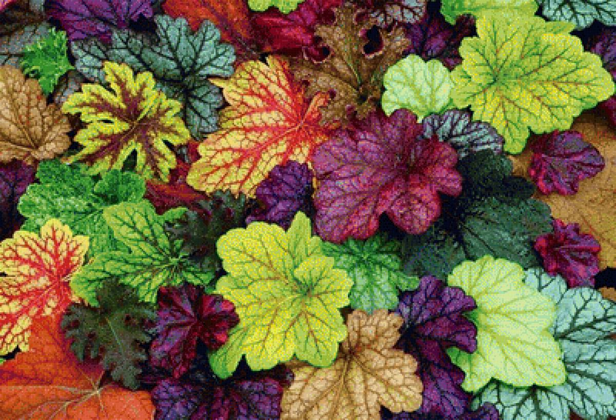 листья - листья, зелень, природа, цветы - предпросмотр