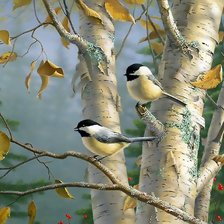 Схема вышивки «№1499364»