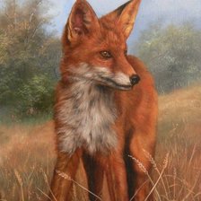 Схема вышивки «лиса»