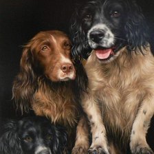 Схема вышивки «спаниели»