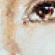 Предпросмотр схемы вышивки «акварель 4» (№1499677)