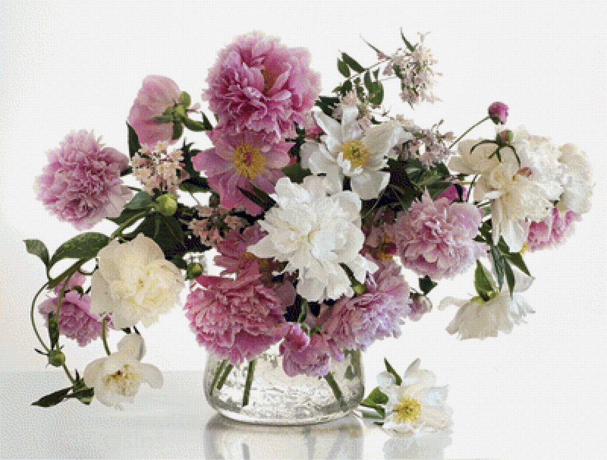 БУКЕТ ЦВЕТОВ - пионы, букет цветов, valdis ošiņš - предпросмотр