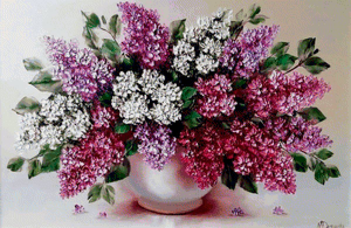 Сирень - сирень, цветы - предпросмотр