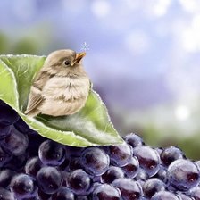 Схема вышивки «42»