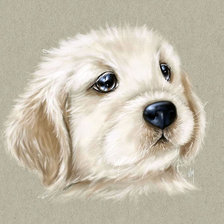 Схема вышивки «45»