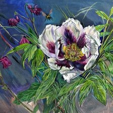 Схема вышивки «пион. Плисюк Н.»