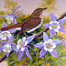 Схема вышивки «аквилегия 7»