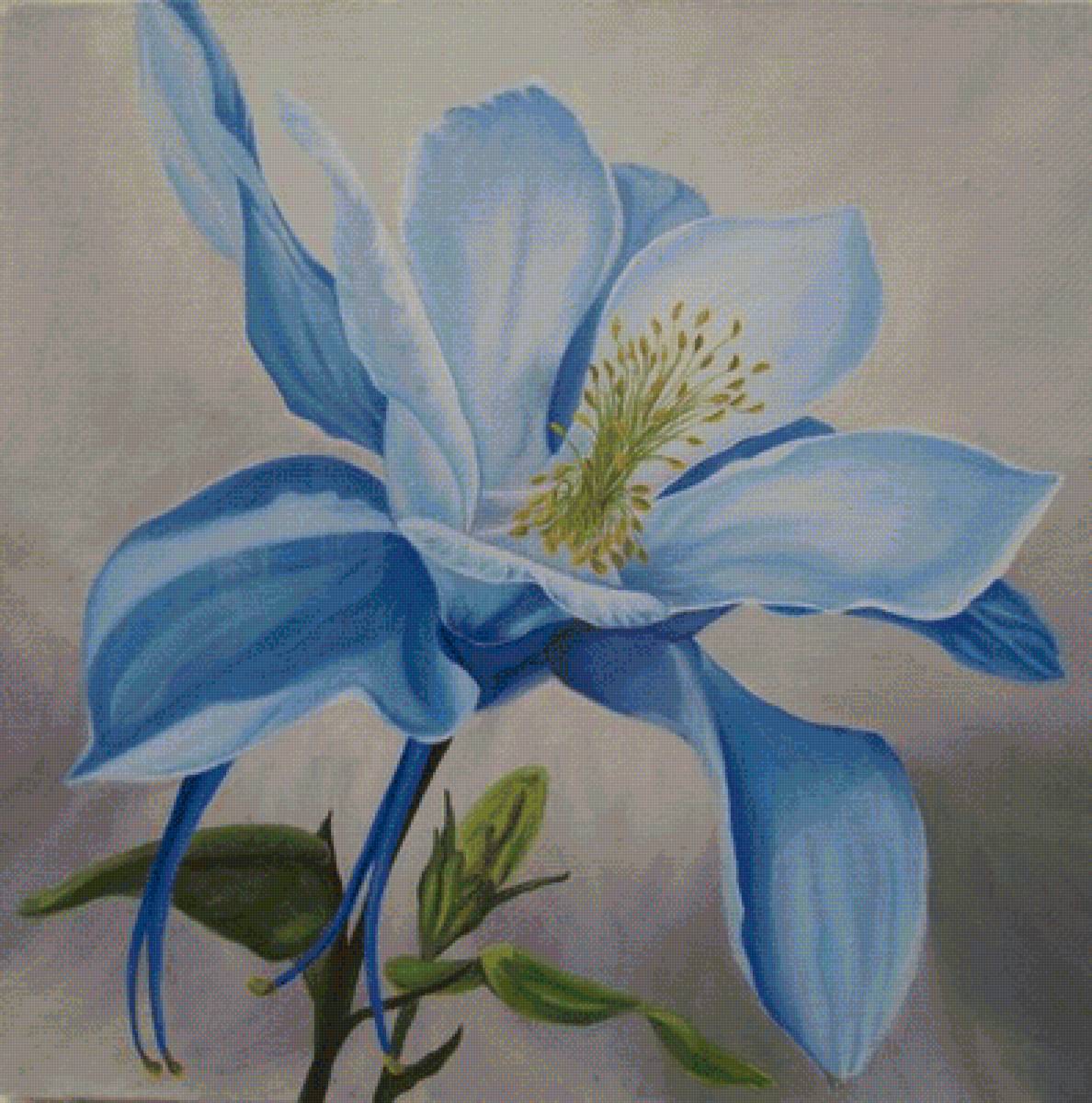 аквилегия 8 - предпросмотр