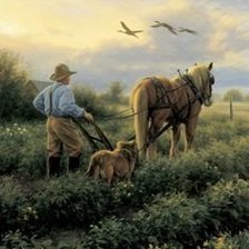 Схема вышивки «orka»