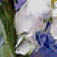 Предпросмотр схемы вышивки «белые ирисы» (№1500465)