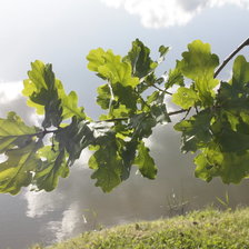 Схема вышивки «ЛЕТО»