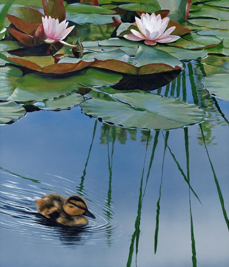 WATERLILLY - природа, вода - оригинал