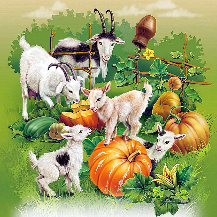 Пустили в огород... - огород, животные, домашние.животные, козлы, тыквы - оригинал