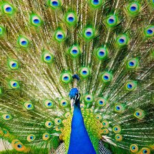 Схема вышивки «*»