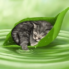 Схема вышивки «нежность»